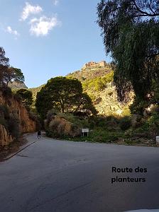 ORAN - ROUTE DES PLANTEURS (2)